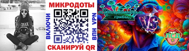 Галлюциногенные грибы мицелий Боготол